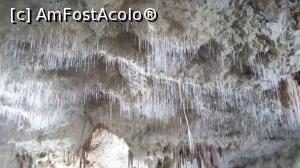 [P02] 'Macaroanele' cu o densitate de pana la 400 buc pe metru patrat » foto by raducondurache
 - 
<span class="allrVoted glyphicon glyphicon-heart hidden" id="av891851"></span>
<a class="m-l-10 hidden" id="sv891851" onclick="voting_Foto_DelVot(,891851,4024)" role="button">șterge vot <span class="glyphicon glyphicon-remove"></span></a>
<a id="v9891851" class=" c-red"  onclick="voting_Foto_SetVot(891851)" role="button"><span class="glyphicon glyphicon-heart-empty"></span> <b>LIKE</b> = Votează poza</a> <img class="hidden"  id="f891851W9" src="/imagini/loader.gif" border="0" /><span class="AjErrMes hidden" id="e891851ErM"></span>