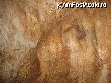 [P12] calcar cat vezi cu ochii » foto by cristi_an3000
 - 
<span class="allrVoted glyphicon glyphicon-heart hidden" id="av33305"></span>
<a class="m-l-10 hidden" id="sv33305" onclick="voting_Foto_DelVot(,33305,4024)" role="button">șterge vot <span class="glyphicon glyphicon-remove"></span></a>
<a id="v933305" class=" c-red"  onclick="voting_Foto_SetVot(33305)" role="button"><span class="glyphicon glyphicon-heart-empty"></span> <b>LIKE</b> = Votează poza</a> <img class="hidden"  id="f33305W9" src="/imagini/loader.gif" border="0" /><span class="AjErrMes hidden" id="e33305ErM"></span>