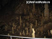 [P15] unele zone au denumiri date de catre descoperitori. s-ar putea ca aceasta sa fie 'Pitici urcand dealul' - nu sunt sigur dar stiu ca in pestera exista si o astfel de denumire a unei mici zone » foto by cristi_an3000
 - 
<span class="allrVoted glyphicon glyphicon-heart hidden" id="av33311"></span>
<a class="m-l-10 hidden" id="sv33311" onclick="voting_Foto_DelVot(,33311,4024)" role="button">șterge vot <span class="glyphicon glyphicon-remove"></span></a>
<a id="v933311" class=" c-red"  onclick="voting_Foto_SetVot(33311)" role="button"><span class="glyphicon glyphicon-heart-empty"></span> <b>LIKE</b> = Votează poza</a> <img class="hidden"  id="f33311W9" src="/imagini/loader.gif" border="0" /><span class="AjErrMes hidden" id="e33311ErM"></span>