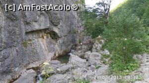 [P26] Pe drumul spre Cabana Padiș » foto by ungureanica
 - 
<span class="allrVoted glyphicon glyphicon-heart hidden" id="av908220"></span>
<a class="m-l-10 hidden" id="sv908220" onclick="voting_Foto_DelVot(,908220,4024)" role="button">șterge vot <span class="glyphicon glyphicon-remove"></span></a>
<a id="v9908220" class=" c-red"  onclick="voting_Foto_SetVot(908220)" role="button"><span class="glyphicon glyphicon-heart-empty"></span> <b>LIKE</b> = Votează poza</a> <img class="hidden"  id="f908220W9" src="/imagini/loader.gif" border="0" /><span class="AjErrMes hidden" id="e908220ErM"></span>