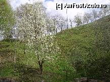 [P11] Peisaj din zona lacului Cincis » foto by krondia*
 - 
<span class="allrVoted glyphicon glyphicon-heart hidden" id="av311140"></span>
<a class="m-l-10 hidden" id="sv311140" onclick="voting_Foto_DelVot(,311140,4025)" role="button">șterge vot <span class="glyphicon glyphicon-remove"></span></a>
<a id="v9311140" class=" c-red"  onclick="voting_Foto_SetVot(311140)" role="button"><span class="glyphicon glyphicon-heart-empty"></span> <b>LIKE</b> = Votează poza</a> <img class="hidden"  id="f311140W9" src="/imagini/loader.gif" border="0" /><span class="AjErrMes hidden" id="e311140ErM"></span>