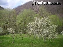 [P09] Peisaj din zona lacului Cincis » foto by krondia*
 - 
<span class="allrVoted glyphicon glyphicon-heart hidden" id="av311138"></span>
<a class="m-l-10 hidden" id="sv311138" onclick="voting_Foto_DelVot(,311138,4025)" role="button">șterge vot <span class="glyphicon glyphicon-remove"></span></a>
<a id="v9311138" class=" c-red"  onclick="voting_Foto_SetVot(311138)" role="button"><span class="glyphicon glyphicon-heart-empty"></span> <b>LIKE</b> = Votează poza</a> <img class="hidden"  id="f311138W9" src="/imagini/loader.gif" border="0" /><span class="AjErrMes hidden" id="e311138ErM"></span>