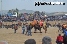 [P05] Arena si doi luptatori.  » foto by TraianS
 - 
<span class="allrVoted glyphicon glyphicon-heart hidden" id="av498031"></span>
<a class="m-l-10 hidden" id="sv498031" onclick="voting_Foto_DelVot(,498031,4030)" role="button">șterge vot <span class="glyphicon glyphicon-remove"></span></a>
<a id="v9498031" class=" c-red"  onclick="voting_Foto_SetVot(498031)" role="button"><span class="glyphicon glyphicon-heart-empty"></span> <b>LIKE</b> = Votează poza</a> <img class="hidden"  id="f498031W9" src="/imagini/loader.gif" border="0" /><span class="AjErrMes hidden" id="e498031ErM"></span>