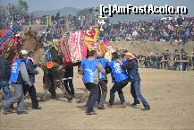 [P07] Cand meciul se termina, intervin echipele care au misiunea de a desparti camilele luptatoare. Daca ar fi dupa ele, ar continua lupta. Meciurile de obicei dureaza 10 minute.  » foto by TraianS
 - 
<span class="allrVoted glyphicon glyphicon-heart hidden" id="av498033"></span>
<a class="m-l-10 hidden" id="sv498033" onclick="voting_Foto_DelVot(,498033,4030)" role="button">șterge vot <span class="glyphicon glyphicon-remove"></span></a>
<a id="v9498033" class=" c-red"  onclick="voting_Foto_SetVot(498033)" role="button"><span class="glyphicon glyphicon-heart-empty"></span> <b>LIKE</b> = Votează poza</a> <img class="hidden"  id="f498033W9" src="/imagini/loader.gif" border="0" /><span class="AjErrMes hidden" id="e498033ErM"></span>