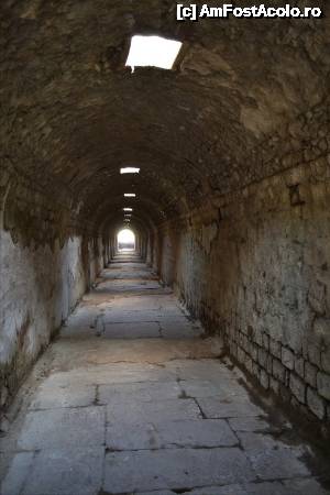 [P17] Kryptoporticus. Tunelul prin care pacietii erau adusi la incubat. » foto by TraianS
 - 
<span class="allrVoted glyphicon glyphicon-heart hidden" id="av504583"></span>
<a class="m-l-10 hidden" id="sv504583" onclick="voting_Foto_DelVot(,504583,4030)" role="button">șterge vot <span class="glyphicon glyphicon-remove"></span></a>
<a id="v9504583" class=" c-red"  onclick="voting_Foto_SetVot(504583)" role="button"><span class="glyphicon glyphicon-heart-empty"></span> <b>LIKE</b> = Votează poza</a> <img class="hidden"  id="f504583W9" src="/imagini/loader.gif" border="0" /><span class="AjErrMes hidden" id="e504583ErM"></span>