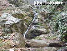 [P05] Padurea Neagra - cascada, apa are o temperatura foarte scazuta inclusiv vara » foto by danoradea
 - 
<span class="allrVoted glyphicon glyphicon-heart hidden" id="av31547"></span>
<a class="m-l-10 hidden" id="sv31547" onclick="voting_Foto_DelVot(,31547,4035)" role="button">șterge vot <span class="glyphicon glyphicon-remove"></span></a>
<a id="v931547" class=" c-red"  onclick="voting_Foto_SetVot(31547)" role="button"><span class="glyphicon glyphicon-heart-empty"></span> <b>LIKE</b> = Votează poza</a> <img class="hidden"  id="f31547W9" src="/imagini/loader.gif" border="0" /><span class="AjErrMes hidden" id="e31547ErM"></span>