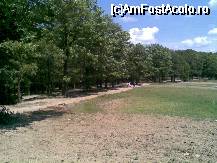 [P10] la marginea localitatii Sacalasaul Nou, inainte de intrarea in padure » foto by danoradea
 - 
<span class="allrVoted glyphicon glyphicon-heart hidden" id="av31680"></span>
<a class="m-l-10 hidden" id="sv31680" onclick="voting_Foto_DelVot(,31680,4038)" role="button">șterge vot <span class="glyphicon glyphicon-remove"></span></a>
<a id="v931680" class=" c-red"  onclick="voting_Foto_SetVot(31680)" role="button"><span class="glyphicon glyphicon-heart-empty"></span> <b>LIKE</b> = Votează poza</a> <img class="hidden"  id="f31680W9" src="/imagini/loader.gif" border="0" /><span class="AjErrMes hidden" id="e31680ErM"></span>