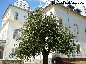 [P12] Castelul Zichy - din cele 365 de ferestre cred că au mai rămas jumătate o dată cu recompartimentările de pe timpul comunismului și termopanare » foto by danoradea
 - 
<span class="allrVoted glyphicon glyphicon-heart hidden" id="av578654"></span>
<a class="m-l-10 hidden" id="sv578654" onclick="voting_Foto_DelVot(,578654,4038)" role="button">șterge vot <span class="glyphicon glyphicon-remove"></span></a>
<a id="v9578654" class=" c-red"  onclick="voting_Foto_SetVot(578654)" role="button"><span class="glyphicon glyphicon-heart-empty"></span> <b>LIKE</b> = Votează poza</a> <img class="hidden"  id="f578654W9" src="/imagini/loader.gif" border="0" /><span class="AjErrMes hidden" id="e578654ErM"></span>