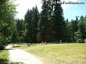 [P14] Castelul Zichy - peste vârful brazilor poate că se mai zărește și azi câmpia Tisei » foto by danoradea
 - 
<span class="allrVoted glyphicon glyphicon-heart hidden" id="av578657"></span>
<a class="m-l-10 hidden" id="sv578657" onclick="voting_Foto_DelVot(,578657,4038)" role="button">șterge vot <span class="glyphicon glyphicon-remove"></span></a>
<a id="v9578657" class=" c-red"  onclick="voting_Foto_SetVot(578657)" role="button"><span class="glyphicon glyphicon-heart-empty"></span> <b>LIKE</b> = Votează poza</a> <img class="hidden"  id="f578657W9" src="/imagini/loader.gif" border="0" /><span class="AjErrMes hidden" id="e578657ErM"></span>