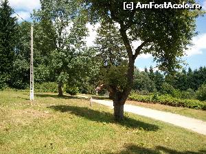 [P16] Castelul Zichy - la intrarea în poiană se aflau locuințele servitorilor și grajdurile, azi nu a mai rămas mare lucru din ele » foto by danoradea
 - 
<span class="allrVoted glyphicon glyphicon-heart hidden" id="av578660"></span>
<a class="m-l-10 hidden" id="sv578660" onclick="voting_Foto_DelVot(,578660,4038)" role="button">șterge vot <span class="glyphicon glyphicon-remove"></span></a>
<a id="v9578660" class=" c-red"  onclick="voting_Foto_SetVot(578660)" role="button"><span class="glyphicon glyphicon-heart-empty"></span> <b>LIKE</b> = Votează poza</a> <img class="hidden"  id="f578660W9" src="/imagini/loader.gif" border="0" /><span class="AjErrMes hidden" id="e578660ErM"></span>