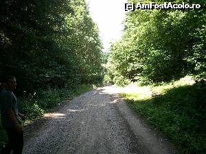 [P02] Castelul Zichy - drumul de piatră ce duce la castel » foto by danoradea
 - 
<span class="allrVoted glyphicon glyphicon-heart hidden" id="av578635"></span>
<a class="m-l-10 hidden" id="sv578635" onclick="voting_Foto_DelVot(,578635,4038)" role="button">șterge vot <span class="glyphicon glyphicon-remove"></span></a>
<a id="v9578635" class=" c-red"  onclick="voting_Foto_SetVot(578635)" role="button"><span class="glyphicon glyphicon-heart-empty"></span> <b>LIKE</b> = Votează poza</a> <img class="hidden"  id="f578635W9" src="/imagini/loader.gif" border="0" /><span class="AjErrMes hidden" id="e578635ErM"></span>