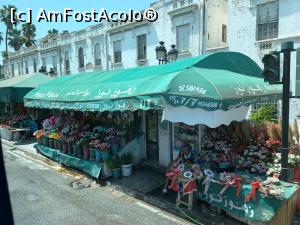 [P26] Florării în Tunis » foto by AZE
 - 
<span class="allrVoted glyphicon glyphicon-heart hidden" id="av1323552"></span>
<a class="m-l-10 hidden" id="sv1323552" onclick="voting_Foto_DelVot(,1323552,4041)" role="button">șterge vot <span class="glyphicon glyphicon-remove"></span></a>
<a id="v91323552" class=" c-red"  onclick="voting_Foto_SetVot(1323552)" role="button"><span class="glyphicon glyphicon-heart-empty"></span> <b>LIKE</b> = Votează poza</a> <img class="hidden"  id="f1323552W9" src="/imagini/loader.gif" border="0" /><span class="AjErrMes hidden" id="e1323552ErM"></span>
