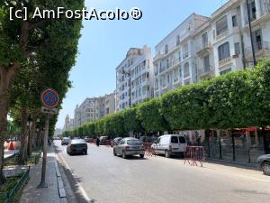 [P03] Avenue Habib Bourguiba » foto by AZE
 - 
<span class="allrVoted glyphicon glyphicon-heart hidden" id="av1323529"></span>
<a class="m-l-10 hidden" id="sv1323529" onclick="voting_Foto_DelVot(,1323529,4041)" role="button">șterge vot <span class="glyphicon glyphicon-remove"></span></a>
<a id="v91323529" class=" c-red"  onclick="voting_Foto_SetVot(1323529)" role="button"><span class="glyphicon glyphicon-heart-empty"></span> <b>LIKE</b> = Votează poza</a> <img class="hidden"  id="f1323529W9" src="/imagini/loader.gif" border="0" /><span class="AjErrMes hidden" id="e1323529ErM"></span>