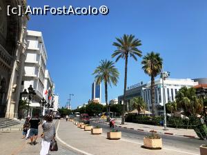 [P07] Avenue Habib Bourguiba » foto by AZE
 - 
<span class="allrVoted glyphicon glyphicon-heart hidden" id="av1323533"></span>
<a class="m-l-10 hidden" id="sv1323533" onclick="voting_Foto_DelVot(,1323533,4041)" role="button">șterge vot <span class="glyphicon glyphicon-remove"></span></a>
<a id="v91323533" class=" c-red"  onclick="voting_Foto_SetVot(1323533)" role="button"><span class="glyphicon glyphicon-heart-empty"></span> <b>LIKE</b> = Votează poza</a> <img class="hidden"  id="f1323533W9" src="/imagini/loader.gif" border="0" /><span class="AjErrMes hidden" id="e1323533ErM"></span>