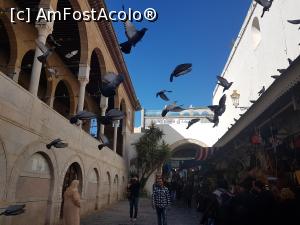 [P07] Totusi, în afară de bdul Burguiba, cel mai mult mi-a plăcut sa descopăr medina, mai ales bazarul cu miresme (suq al atarine) din proximitatea moscheii Zaituna... De fiecare dată mai descopeream ceva acolo - sapunurile și toate produsele cu iasomie si portocale, produsele pentru hamam, » foto by Sakiz*
 - 
<span class="allrVoted glyphicon glyphicon-heart hidden" id="av936242"></span>
<a class="m-l-10 hidden" id="sv936242" onclick="voting_Foto_DelVot(,936242,4041)" role="button">șterge vot <span class="glyphicon glyphicon-remove"></span></a>
<a id="v9936242" class=" c-red"  onclick="voting_Foto_SetVot(936242)" role="button"><span class="glyphicon glyphicon-heart-empty"></span> <b>LIKE</b> = Votează poza</a> <img class="hidden"  id="f936242W9" src="/imagini/loader.gif" border="0" /><span class="AjErrMes hidden" id="e936242ErM"></span>