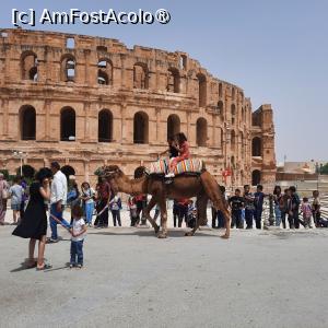 [P04] El Jem, Amfiteatrul, Piața cu destui turiști, mulți copii și câteva cămile, poză normală » foto by mprofeanu
 - 
<span class="allrVoted glyphicon glyphicon-heart hidden" id="av1433186"></span>
<a class="m-l-10 hidden" id="sv1433186" onclick="voting_Foto_DelVot(,1433186,4044)" role="button">șterge vot <span class="glyphicon glyphicon-remove"></span></a>
<a id="v91433186" class=" c-red"  onclick="voting_Foto_SetVot(1433186)" role="button"><span class="glyphicon glyphicon-heart-empty"></span> <b>LIKE</b> = Votează poza</a> <img class="hidden"  id="f1433186W9" src="/imagini/loader.gif" border="0" /><span class="AjErrMes hidden" id="e1433186ErM"></span>