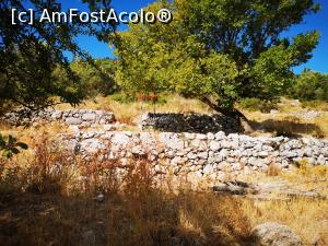 [P19] Situl arheologic Școala lui Homer » foto by crismis
 - 
<span class="allrVoted glyphicon glyphicon-heart hidden" id="av1271577"></span>
<a class="m-l-10 hidden" id="sv1271577" onclick="voting_Foto_DelVot(,1271577,4061)" role="button">șterge vot <span class="glyphicon glyphicon-remove"></span></a>
<a id="v91271577" class=" c-red"  onclick="voting_Foto_SetVot(1271577)" role="button"><span class="glyphicon glyphicon-heart-empty"></span> <b>LIKE</b> = Votează poza</a> <img class="hidden"  id="f1271577W9" src="/imagini/loader.gif" border="0" /><span class="AjErrMes hidden" id="e1271577ErM"></span>