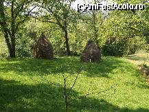 [P23] Un colt de rai in Arieseni » foto by pepsi70ro
 - 
<span class="allrVoted glyphicon glyphicon-heart hidden" id="av32206"></span>
<a class="m-l-10 hidden" id="sv32206" onclick="voting_Foto_DelVot(,32206,4073)" role="button">șterge vot <span class="glyphicon glyphicon-remove"></span></a>
<a id="v932206" class=" c-red"  onclick="voting_Foto_SetVot(32206)" role="button"><span class="glyphicon glyphicon-heart-empty"></span> <b>LIKE</b> = Votează poza</a> <img class="hidden"  id="f32206W9" src="/imagini/loader.gif" border="0" /><span class="AjErrMes hidden" id="e32206ErM"></span>