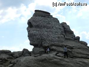 [P35] Sfinxul sau ce a ramas din el » foto by ionescunic
 - 
<span class="allrVoted glyphicon glyphicon-heart hidden" id="av345363"></span>
<a class="m-l-10 hidden" id="sv345363" onclick="voting_Foto_DelVot(,345363,4076)" role="button">șterge vot <span class="glyphicon glyphicon-remove"></span></a>
<a id="v9345363" class=" c-red"  onclick="voting_Foto_SetVot(345363)" role="button"><span class="glyphicon glyphicon-heart-empty"></span> <b>LIKE</b> = Votează poza</a> <img class="hidden"  id="f345363W9" src="/imagini/loader.gif" border="0" /><span class="AjErrMes hidden" id="e345363ErM"></span>