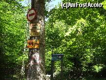 [P10] Intrarea pe Valea Vanturisului » foto by Lumis66
 - 
<span class="allrVoted glyphicon glyphicon-heart hidden" id="av209619"></span>
<a class="m-l-10 hidden" id="sv209619" onclick="voting_Foto_DelVot(,209619,4076)" role="button">șterge vot <span class="glyphicon glyphicon-remove"></span></a>
<a id="v9209619" class=" c-red"  onclick="voting_Foto_SetVot(209619)" role="button"><span class="glyphicon glyphicon-heart-empty"></span> <b>LIKE</b> = Votează poza</a> <img class="hidden"  id="f209619W9" src="/imagini/loader.gif" border="0" /><span class="AjErrMes hidden" id="e209619ErM"></span>