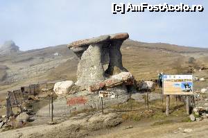 [P09] Babele închise în țarc. Am auzit că dacă le dau drumu', mușcă turiștii!  » foto by Dragoș_MD
 - 
<span class="allrVoted glyphicon glyphicon-heart hidden" id="av695463"></span>
<a class="m-l-10 hidden" id="sv695463" onclick="voting_Foto_DelVot(,695463,4076)" role="button">șterge vot <span class="glyphicon glyphicon-remove"></span></a>
<a id="v9695463" class=" c-red"  onclick="voting_Foto_SetVot(695463)" role="button"><span class="glyphicon glyphicon-heart-empty"></span> <b>LIKE</b> = Votează poza</a> <img class="hidden"  id="f695463W9" src="/imagini/loader.gif" border="0" /><span class="AjErrMes hidden" id="e695463ErM"></span>