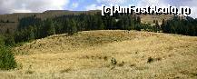 [P18] din nou spre platoul Bucegi » foto by kata0587
 - 
<span class="allrVoted glyphicon glyphicon-heart hidden" id="av396543"></span>
<a class="m-l-10 hidden" id="sv396543" onclick="voting_Foto_DelVot(,396543,4076)" role="button">șterge vot <span class="glyphicon glyphicon-remove"></span></a>
<a id="v9396543" class=" c-red"  onclick="voting_Foto_SetVot(396543)" role="button"><span class="glyphicon glyphicon-heart-empty"></span> <b>LIKE</b> = Votează poza</a> <img class="hidden"  id="f396543W9" src="/imagini/loader.gif" border="0" /><span class="AjErrMes hidden" id="e396543ErM"></span>