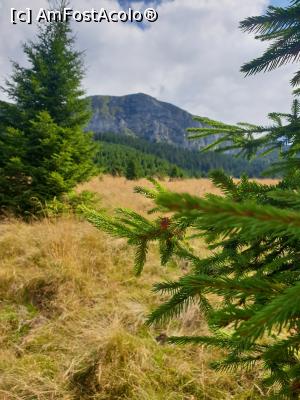 [P12] frumusețea naturii » foto by robert
 - 
<span class="allrVoted glyphicon glyphicon-heart hidden" id="av1186790"></span>
<a class="m-l-10 hidden" id="sv1186790" onclick="voting_Foto_DelVot(,1186790,4076)" role="button">șterge vot <span class="glyphicon glyphicon-remove"></span></a>
<a id="v91186790" class=" c-red"  onclick="voting_Foto_SetVot(1186790)" role="button"><span class="glyphicon glyphicon-heart-empty"></span> <b>LIKE</b> = Votează poza</a> <img class="hidden"  id="f1186790W9" src="/imagini/loader.gif" border="0" /><span class="AjErrMes hidden" id="e1186790ErM"></span>