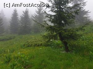 [P14] frumoasă-i viața sus în munți » foto by robert
 - 
<span class="allrVoted glyphicon glyphicon-heart hidden" id="av1169729"></span>
<a class="m-l-10 hidden" id="sv1169729" onclick="voting_Foto_DelVot(,1169729,4076)" role="button">șterge vot <span class="glyphicon glyphicon-remove"></span></a>
<a id="v91169729" class=" c-red"  onclick="voting_Foto_SetVot(1169729)" role="button"><span class="glyphicon glyphicon-heart-empty"></span> <b>LIKE</b> = Votează poza</a> <img class="hidden"  id="f1169729W9" src="/imagini/loader.gif" border="0" /><span class="AjErrMes hidden" id="e1169729ErM"></span>