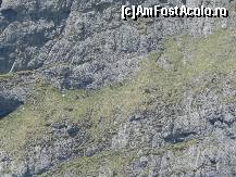 [P16] Grupul care parcurgea Brîna Coştilei, de la această distanţă scena părînd neverosimilă.  » foto by abancor
 - 
<span class="allrVoted glyphicon glyphicon-heart hidden" id="av372843"></span>
<a class="m-l-10 hidden" id="sv372843" onclick="voting_Foto_DelVot(,372843,4076)" role="button">șterge vot <span class="glyphicon glyphicon-remove"></span></a>
<a id="v9372843" class=" c-red"  onclick="voting_Foto_SetVot(372843)" role="button"><span class="glyphicon glyphicon-heart-empty"></span> <b>LIKE</b> = Votează poza</a> <img class="hidden"  id="f372843W9" src="/imagini/loader.gif" border="0" /><span class="AjErrMes hidden" id="e372843ErM"></span>