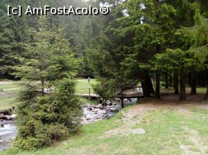 [P21] inapoi in Valea Bangaleza » foto by Denisa13
 - 
<span class="allrVoted glyphicon glyphicon-heart hidden" id="av969743"></span>
<a class="m-l-10 hidden" id="sv969743" onclick="voting_Foto_DelVot(,969743,4076)" role="button">șterge vot <span class="glyphicon glyphicon-remove"></span></a>
<a id="v9969743" class=" c-red"  onclick="voting_Foto_SetVot(969743)" role="button"><span class="glyphicon glyphicon-heart-empty"></span> <b>LIKE</b> = Votează poza</a> <img class="hidden"  id="f969743W9" src="/imagini/loader.gif" border="0" /><span class="AjErrMes hidden" id="e969743ErM"></span>