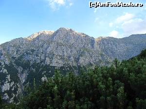 [P10] Da, acesta este Bucșoiul, 2.492 m.  » foto by saxonul
 - 
<span class="allrVoted glyphicon glyphicon-heart hidden" id="av667001"></span>
<a class="m-l-10 hidden" id="sv667001" onclick="voting_Foto_DelVot(,667001,4076)" role="button">șterge vot <span class="glyphicon glyphicon-remove"></span></a>
<a id="v9667001" class=" c-red"  onclick="voting_Foto_SetVot(667001)" role="button"><span class="glyphicon glyphicon-heart-empty"></span> <b>LIKE</b> = Votează poza</a> <img class="hidden"  id="f667001W9" src="/imagini/loader.gif" border="0" /><span class="AjErrMes hidden" id="e667001ErM"></span>