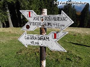 [P29]  -- <small>// FĂRĂ DESCRIERE</small> » foto by wolf2001*
 - 
<span class="allrVoted glyphicon glyphicon-heart hidden" id="av582523"></span>
<a class="m-l-10 hidden" id="sv582523" onclick="voting_Foto_DelVot(,582523,4076)" role="button">șterge vot <span class="glyphicon glyphicon-remove"></span></a>
<a id="v9582523" class=" c-red"  onclick="voting_Foto_SetVot(582523)" role="button"><span class="glyphicon glyphicon-heart-empty"></span> <b>LIKE</b> = Votează poza</a> <img class="hidden"  id="f582523W9" src="/imagini/loader.gif" border="0" /><span class="AjErrMes hidden" id="e582523ErM"></span>