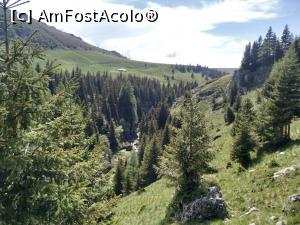 [P54] Râul Izvorul Dorului se stercoară pe lângă Vârful Vânturiș și Valea Dorului » foto by Mika
 - 
<span class="allrVoted glyphicon glyphicon-heart hidden" id="av1167627"></span>
<a class="m-l-10 hidden" id="sv1167627" onclick="voting_Foto_DelVot(,1167627,4076)" role="button">șterge vot <span class="glyphicon glyphicon-remove"></span></a>
<a id="v91167627" class=" c-red"  onclick="voting_Foto_SetVot(1167627)" role="button"><span class="glyphicon glyphicon-heart-empty"></span> <b>LIKE</b> = Votează poza</a> <img class="hidden"  id="f1167627W9" src="/imagini/loader.gif" border="0" /><span class="AjErrMes hidden" id="e1167627ErM"></span>