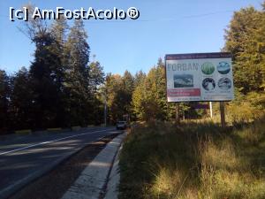 [P05] La Șipote, intrarea pe forestier (stânga) spre Diham » foto by danaeldreny*
 - 
<span class="allrVoted glyphicon glyphicon-heart hidden" id="av921869"></span>
<a class="m-l-10 hidden" id="sv921869" onclick="voting_Foto_DelVot(,921869,4076)" role="button">șterge vot <span class="glyphicon glyphicon-remove"></span></a>
<a id="v9921869" class=" c-red"  onclick="voting_Foto_SetVot(921869)" role="button"><span class="glyphicon glyphicon-heart-empty"></span> <b>LIKE</b> = Votează poza</a> <img class="hidden"  id="f921869W9" src="/imagini/loader.gif" border="0" /><span class="AjErrMes hidden" id="e921869ErM"></span>