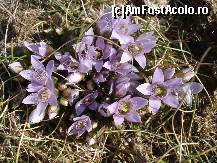 [P08]  -- <small>// FĂRĂ DESCRIERE</small> » foto by gregorio
 - 
<span class="allrVoted glyphicon glyphicon-heart hidden" id="av452638"></span>
<a class="m-l-10 hidden" id="sv452638" onclick="voting_Foto_DelVot(,452638,4076)" role="button">șterge vot <span class="glyphicon glyphicon-remove"></span></a>
<a id="v9452638" class=" c-red"  onclick="voting_Foto_SetVot(452638)" role="button"><span class="glyphicon glyphicon-heart-empty"></span> <b>LIKE</b> = Votează poza</a> <img class="hidden"  id="f452638W9" src="/imagini/loader.gif" border="0" /><span class="AjErrMes hidden" id="e452638ErM"></span>