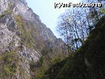 [P10x] Zona cea mai inalta de unde se sare cu coarda elastica » foto by ionescunic
 - 
<span class="allrVoted glyphicon glyphicon-heart hidden" id="av37251"></span>
<a class="m-l-10 hidden" id="sv37251" onclick="voting_Foto_DelVot(,37251,4078)" role="button">șterge vot <span class="glyphicon glyphicon-remove"></span></a>
<a id="v937251" class=" c-red"  onclick="voting_Foto_SetVot(37251)" role="button"><span class="glyphicon glyphicon-heart-empty"></span> <b>LIKE</b> = Votează poza</a> <img class="hidden"  id="f37251W9" src="/imagini/loader.gif" border="0" /><span class="AjErrMes hidden" id="e37251ErM"></span>