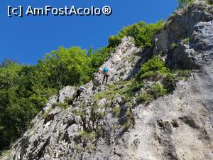 [P15] În Cheile Râșnoavei se practică alpinismul. » foto by Floryn81
 - 
<span class="allrVoted glyphicon glyphicon-heart hidden" id="av1208390"></span>
<a class="m-l-10 hidden" id="sv1208390" onclick="voting_Foto_DelVot(,1208390,4078)" role="button">șterge vot <span class="glyphicon glyphicon-remove"></span></a>
<a id="v91208390" class=" c-red"  onclick="voting_Foto_SetVot(1208390)" role="button"><span class="glyphicon glyphicon-heart-empty"></span> <b>LIKE</b> = Votează poza</a> <img class="hidden"  id="f1208390W9" src="/imagini/loader.gif" border="0" /><span class="AjErrMes hidden" id="e1208390ErM"></span>