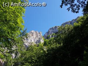[P17] Admirând frumusețile naturale din jurul nostru. » foto by Floryn81
 - 
<span class="allrVoted glyphicon glyphicon-heart hidden" id="av1208392"></span>
<a class="m-l-10 hidden" id="sv1208392" onclick="voting_Foto_DelVot(,1208392,4078)" role="button">șterge vot <span class="glyphicon glyphicon-remove"></span></a>
<a id="v91208392" class=" c-red"  onclick="voting_Foto_SetVot(1208392)" role="button"><span class="glyphicon glyphicon-heart-empty"></span> <b>LIKE</b> = Votează poza</a> <img class="hidden"  id="f1208392W9" src="/imagini/loader.gif" border="0" /><span class="AjErrMes hidden" id="e1208392ErM"></span>