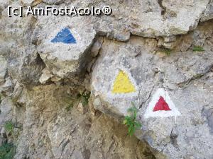 [P23] Marcaje turistice în Cheile Râșnoavei. » foto by Floryn81
 - 
<span class="allrVoted glyphicon glyphicon-heart hidden" id="av1208398"></span>
<a class="m-l-10 hidden" id="sv1208398" onclick="voting_Foto_DelVot(,1208398,4078)" role="button">șterge vot <span class="glyphicon glyphicon-remove"></span></a>
<a id="v91208398" class=" c-red"  onclick="voting_Foto_SetVot(1208398)" role="button"><span class="glyphicon glyphicon-heart-empty"></span> <b>LIKE</b> = Votează poza</a> <img class="hidden"  id="f1208398W9" src="/imagini/loader.gif" border="0" /><span class="AjErrMes hidden" id="e1208398ErM"></span>