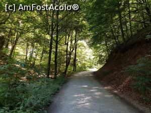 [P03] Am pornit la pas către Cheile Râșnoavei. » foto by Floryn81
 - 
<span class="allrVoted glyphicon glyphicon-heart hidden" id="av1208378"></span>
<a class="m-l-10 hidden" id="sv1208378" onclick="voting_Foto_DelVot(,1208378,4078)" role="button">șterge vot <span class="glyphicon glyphicon-remove"></span></a>
<a id="v91208378" class=" c-red"  onclick="voting_Foto_SetVot(1208378)" role="button"><span class="glyphicon glyphicon-heart-empty"></span> <b>LIKE</b> = Votează poza</a> <img class="hidden"  id="f1208378W9" src="/imagini/loader.gif" border="0" /><span class="AjErrMes hidden" id="e1208378ErM"></span>