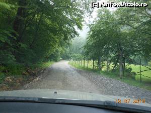 [P09] La Cheile Râşnoavei - În apropierea cheilor vegetaţia este mai abundentă.  » foto by iulianic
 - 
<span class="allrVoted glyphicon glyphicon-heart hidden" id="av542938"></span>
<a class="m-l-10 hidden" id="sv542938" onclick="voting_Foto_DelVot(,542938,4078)" role="button">șterge vot <span class="glyphicon glyphicon-remove"></span></a>
<a id="v9542938" class=" c-red"  onclick="voting_Foto_SetVot(542938)" role="button"><span class="glyphicon glyphicon-heart-empty"></span> <b>LIKE</b> = Votează poza</a> <img class="hidden"  id="f542938W9" src="/imagini/loader.gif" border="0" /><span class="AjErrMes hidden" id="e542938ErM"></span>