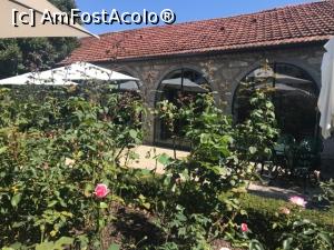 [P24] In cramă esra deschis și un restaurant cu o terasă frumoasă » foto by Mika
 - 
<span class="allrVoted glyphicon glyphicon-heart hidden" id="av1162832"></span>
<a class="m-l-10 hidden" id="sv1162832" onclick="voting_Foto_DelVot(,1162832,4082)" role="button">șterge vot <span class="glyphicon glyphicon-remove"></span></a>
<a id="v91162832" class=" c-red"  onclick="voting_Foto_SetVot(1162832)" role="button"><span class="glyphicon glyphicon-heart-empty"></span> <b>LIKE</b> = Votează poza</a> <img class="hidden"  id="f1162832W9" src="/imagini/loader.gif" border="0" /><span class="AjErrMes hidden" id="e1162832ErM"></span>