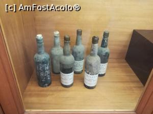[P32] Sticle vechi de vin » foto by Mika
 - 
<span class="allrVoted glyphicon glyphicon-heart hidden" id="av1162840"></span>
<a class="m-l-10 hidden" id="sv1162840" onclick="voting_Foto_DelVot(,1162840,4082)" role="button">șterge vot <span class="glyphicon glyphicon-remove"></span></a>
<a id="v91162840" class=" c-red"  onclick="voting_Foto_SetVot(1162840)" role="button"><span class="glyphicon glyphicon-heart-empty"></span> <b>LIKE</b> = Votează poza</a> <img class="hidden"  id="f1162840W9" src="/imagini/loader.gif" border="0" /><span class="AjErrMes hidden" id="e1162840ErM"></span>
