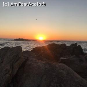 [P11] Soarele incepe să coboare in ocean » foto by Mika
 - 
<span class="allrVoted glyphicon glyphicon-heart hidden" id="av1164833"></span>
<a class="m-l-10 hidden" id="sv1164833" onclick="voting_Foto_DelVot(,1164833,4082)" role="button">șterge vot <span class="glyphicon glyphicon-remove"></span></a>
<a id="v91164833" class=" c-red"  onclick="voting_Foto_SetVot(1164833)" role="button"><span class="glyphicon glyphicon-heart-empty"></span> <b>LIKE</b> = Votează poza</a> <img class="hidden"  id="f1164833W9" src="/imagini/loader.gif" border="0" /><span class="AjErrMes hidden" id="e1164833ErM"></span>