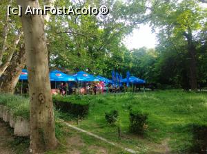 [P16] La Buturugă, Cișmigiu » foto by Mioritik
 - 
<span class="allrVoted glyphicon glyphicon-heart hidden" id="av1297597"></span>
<a class="m-l-10 hidden" id="sv1297597" onclick="voting_Foto_DelVot(,1297597,4083)" role="button">șterge vot <span class="glyphicon glyphicon-remove"></span></a>
<a id="v91297597" class=" c-red"  onclick="voting_Foto_SetVot(1297597)" role="button"><span class="glyphicon glyphicon-heart-empty"></span> <b>LIKE</b> = Votează poza</a> <img class="hidden"  id="f1297597W9" src="/imagini/loader.gif" border="0" /><span class="AjErrMes hidden" id="e1297597ErM"></span>