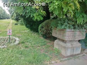 [P14] În Cișmigiu, iunie 2022 » foto by Mioritik
 - 
<span class="allrVoted glyphicon glyphicon-heart hidden" id="av1363148"></span>
<a class="m-l-10 hidden" id="sv1363148" onclick="voting_Foto_DelVot(,1363148,4083)" role="button">șterge vot <span class="glyphicon glyphicon-remove"></span></a>
<a id="v91363148" class=" c-red"  onclick="voting_Foto_SetVot(1363148)" role="button"><span class="glyphicon glyphicon-heart-empty"></span> <b>LIKE</b> = Votează poza</a> <img class="hidden"  id="f1363148W9" src="/imagini/loader.gif" border="0" /><span class="AjErrMes hidden" id="e1363148ErM"></span>