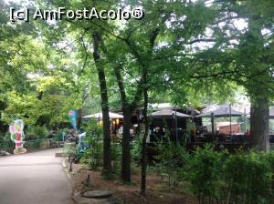 [P16] În Cișmigiu, iunie 2022 » foto by Mioritik
 - 
<span class="allrVoted glyphicon glyphicon-heart hidden" id="av1363150"></span>
<a class="m-l-10 hidden" id="sv1363150" onclick="voting_Foto_DelVot(,1363150,4083)" role="button">șterge vot <span class="glyphicon glyphicon-remove"></span></a>
<a id="v91363150" class=" c-red"  onclick="voting_Foto_SetVot(1363150)" role="button"><span class="glyphicon glyphicon-heart-empty"></span> <b>LIKE</b> = Votează poza</a> <img class="hidden"  id="f1363150W9" src="/imagini/loader.gif" border="0" /><span class="AjErrMes hidden" id="e1363150ErM"></span>