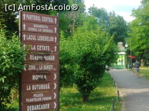 [P18] În Cișmigiu, iunie 2022 » foto by Mioritik
 - 
<span class="allrVoted glyphicon glyphicon-heart hidden" id="av1363152"></span>
<a class="m-l-10 hidden" id="sv1363152" onclick="voting_Foto_DelVot(,1363152,4083)" role="button">șterge vot <span class="glyphicon glyphicon-remove"></span></a>
<a id="v91363152" class=" c-red"  onclick="voting_Foto_SetVot(1363152)" role="button"><span class="glyphicon glyphicon-heart-empty"></span> <b>LIKE</b> = Votează poza</a> <img class="hidden"  id="f1363152W9" src="/imagini/loader.gif" border="0" /><span class="AjErrMes hidden" id="e1363152ErM"></span>