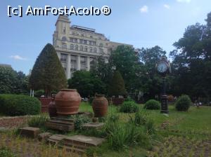 [P19] În Cișmigiu, iunie 2022 » foto by Mioritik
 - 
<span class="allrVoted glyphicon glyphicon-heart hidden" id="av1363153"></span>
<a class="m-l-10 hidden" id="sv1363153" onclick="voting_Foto_DelVot(,1363153,4083)" role="button">șterge vot <span class="glyphicon glyphicon-remove"></span></a>
<a id="v91363153" class=" c-red"  onclick="voting_Foto_SetVot(1363153)" role="button"><span class="glyphicon glyphicon-heart-empty"></span> <b>LIKE</b> = Votează poza</a> <img class="hidden"  id="f1363153W9" src="/imagini/loader.gif" border="0" /><span class="AjErrMes hidden" id="e1363153ErM"></span>