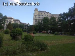 [P21] În Cișmigiu, iunie 2022 » foto by Mioritik
 - 
<span class="allrVoted glyphicon glyphicon-heart hidden" id="av1363155"></span>
<a class="m-l-10 hidden" id="sv1363155" onclick="voting_Foto_DelVot(,1363155,4083)" role="button">șterge vot <span class="glyphicon glyphicon-remove"></span></a>
<a id="v91363155" class=" c-red"  onclick="voting_Foto_SetVot(1363155)" role="button"><span class="glyphicon glyphicon-heart-empty"></span> <b>LIKE</b> = Votează poza</a> <img class="hidden"  id="f1363155W9" src="/imagini/loader.gif" border="0" /><span class="AjErrMes hidden" id="e1363155ErM"></span>